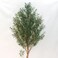 220cm Luxury Artificial Olive Plant with Natural Textured Trunk - Premium Indoor Decor