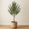 220cm Luxury Artificial Olive Plant with Natural Textured Trunk - Premium Indoor Decor