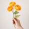 Luxury Artificial Yellow Ranunculus Flower Bunch - 3 Blooms for Modern Home Decor &amp; Dining Table Styling