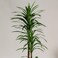 220cm Artificial Dracaena Reflexa Plant - Premium Tall Indoor Decor Tree for Home &amp; Office