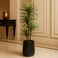 220cm Artificial Dracaena Reflexa Plant - Premium Tall Indoor Decor Tree for Home &amp; Office
