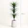 190cm Artificial Dracaena Reflexa Plant - Premium Tall Indoor Decor Tree for Home &amp; Office