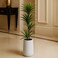 190cm Artificial Dracaena Reflexa Plant - Premium Tall Indoor Decor Tree for Home &amp; Office