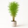 210cm Luxury Artificial Bamboo Tree - Tall Indoor Decorative Plant for Home &amp; Office