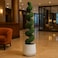180cm Artificial Spiral Topiary Bonsai Tree - Premium Indoor &amp; Outdoor Home Decor Plant