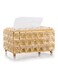 Tissue Storage Box Gold 19x11x10cm