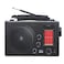 8W Multi-Band Portable Radio &amp; Bluetooth Speaker with MP3 Player

