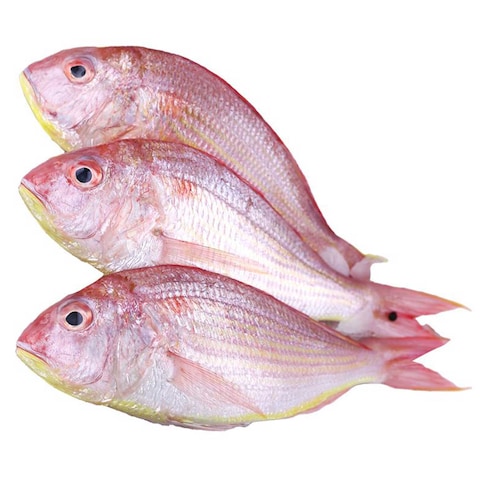 سمك سلطان إبراهيم الطازج (عمان)