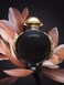 عطر اوليمبيا 50 مل