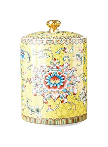 Bicuzat Enamel Ceramic Tea Caddy Tea Canister Tea Storage Container Tins Jar with Airtight Lid Water-proof Tank for Tea, Coffee, Herb, Sugar, Spice, Nuts
