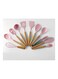 Flexible Non-Stick Heat Resistant Silicone Spatula Multicolour 10.50 x 10.50 x 0.95cm