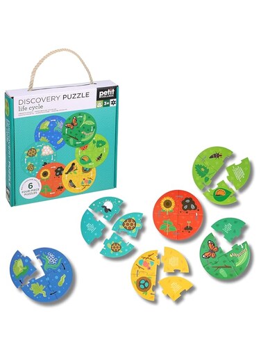 Discovery Puzzle: Life Cycle