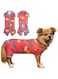 TONY HOBY Dog Pajamas, Pet Clothes to Keep Warm in Cold Weather, Dog Onesies Jumpsuit for Small Medium Dog (Red&amp;Bue, Boy, L)