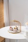 Shallow Elegant Porcelain 26cm Cake Plate with Luxurious Gold Stand,