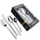Cuisine Art Chole 16 Piece Stainless Steel Cutlery Set, Silver