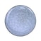 Cuisine Art Alura Stoneware Side Plate - 20cm, Blue (Set of 1)