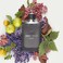 Jimmy Choo Man Eau De Toilette 50ml &amp; Shower Gel 100ml