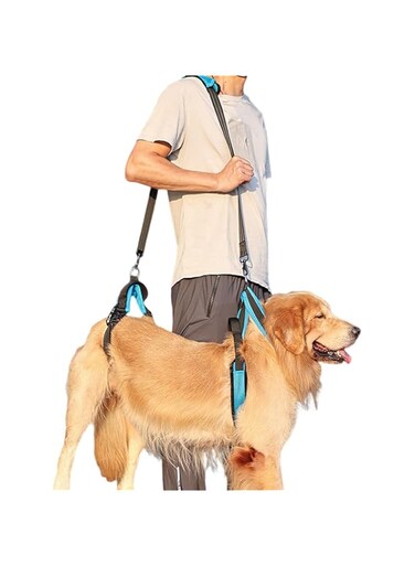 Pet Dog Carry Sling Pet Legs Support Rehabilitation Lift Harness for Disabled Injured Elderly Dog Joint Injuries Arthritis (Blue, L)
