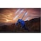 Bandai Games Elden Ring Nightreign Seekers Edition PS4