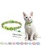DOCO&reg; LOCO Cat Collar Pattern Printed (DCAT002) Texture - Green Monster