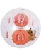 Starthi Hamster Ball, Running Hamster Wheel Small Pet Plastic Cute Exercise Ball Golden Silk Shih Tzu Bear Jogging Wheel Toy Relieves Boredom and Increases Activity (Orange)
