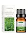 Essential Oils, Essential Oil 10ml, For Diffuser, Humidifier, Candle, Hair Conditioner