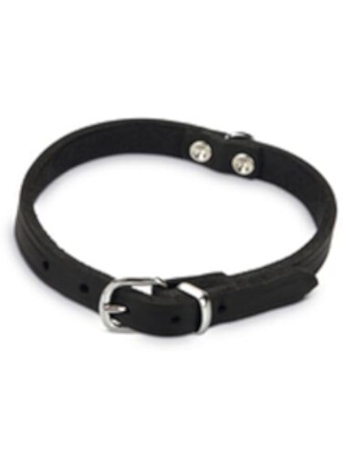 Beeztees Leather Collar Black 37X12