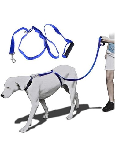 Dog Harness Outdoor Running Dog Harness Daily Pet Walk Harness Dog Training Rope, Instant Dog Trainer Leash