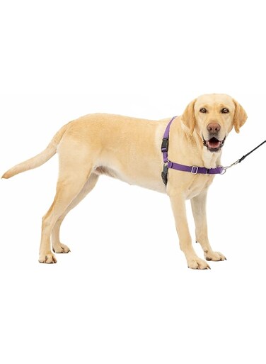 PetSafe Easy Walk No-Pull Dog Harness - The Ultimate Harness to Help Stop Pulling - Take Control &amp; Teach Better Leash Manners - Helps Prevent Pets Pulling on Walks - Large, Deep Purple/Black