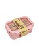 Box - 850ml lunch box with spoon and fork included - Durable, leak-proof, BPA-free, food grade, perfect for eating out, suitable for both adults and children, ideal lunch option for school and work