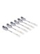 6-Piece Dinner Spoon Set
