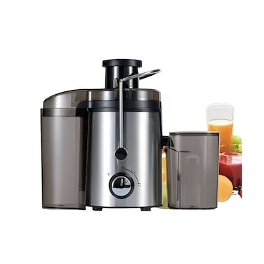 Juice Extractor Stainless Steel Juicer with 2 Speeds, Whole Fruit Juice Extractor with Stainless Steel Body &amp; Mesh Strainer for Fruits and Vegetables 500W