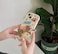 Classy Case iPhone 14/15 Pro Max Case Cover Tom and Jerry, Jerry Running Motion Spinner Design, Shockproof Protective Cover, Slim Fit Cartoon Case