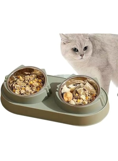 clines Cat Basic Food and Water Bowl Set,Raised Cat Bowl with Stand Stainless Steel, Tilted Cat Bowls Anti Vomiting, Double Cat Food and Water Bowl Set for Cats (Green)