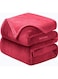 HOME&Acirc;&reg; 300 GSM Premium Plush Double Blanket for Bed, Sofa, Couch, Travel and Camping AC Blanket   210x230 cm   Red   SOLID MINK