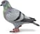 Papo - Hand Painted - Animal Figures - Piegon - 50295 - Wildlife - Collectible - For Children - Suitable For Boys And Girls - From 3 Years Old