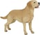 Papo Cats And Dogs 54029 Labrador Figurine, Multicolour