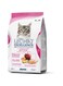 Lechat Excellence by Monge   Kitten Dry Food with Chicken, Rice, Egg and Apple   Super Premium Complementary Dry Kitten Food - 400g