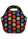 Insulated lunch bag waterproof Picnic bag multi color