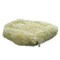 Grizzly Square Bed Cream - 55 x 45 x 20cm - Small