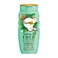 Lovea Shampoo Coconut &amp; Green Tea 250ml