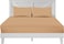 Zen Premium Quality TC 250 Cotton Rich Fitted Sheet Set with Pillowcases - Beige/Sand, Single
