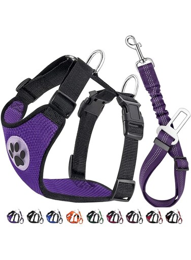 Lukovee Dog Safety Vest Harness with Seatbelt, Dog Car Harness Seat Belt Adjustable Pet Harnesses Double Breathable Mesh Fabric with Car Vehicle Connector Strap for Dog (Small, Purple Seatbelt)