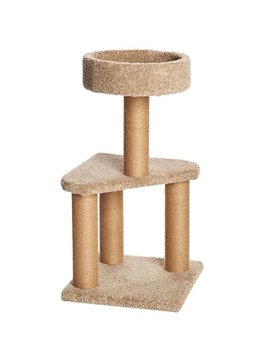 Amazon Basics Cat Activity Tree Tower with Scratching Posts, Condo for Indoor Use - 15.7 x 31.5 inches, Beige, Medium