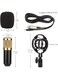 EasyLife Multifunctional Recording Mic Sound Set Condenser Microphone