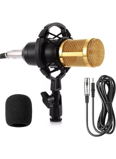 EasyLife Uni-Directional Condenser Microphone Excellent Reproduction Of Voice And Music Professional