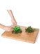 EasyLife Vegetable Herb Remover Kale Oregano Parsley Coriander Stripper Looseleaf Comb Household Tools Portable Kitchen Gadgets