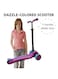 EasyLife Adjustable And Foldable Kick Scooter