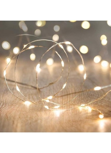 EasyLife 3M LED Fairy String Lights, Indoor Garden Home Party Wedding Festival Decorations Crafting Battery Operated Lights Warm White