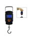 EasyLife Electronic Hanging Scale 50kg 10g Digital Scale Fishing Luggage Travel Weighting Steelyard Hook